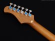 画像5: Bacchus　BTE-1DX RSM/M [Ice Blue Metallic] (5)