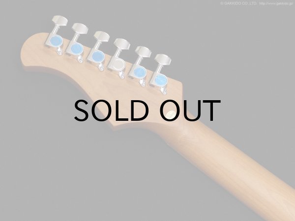 画像5: Bacchus　BTE-1DX RSM/M [Ice Blue Metallic] (5)