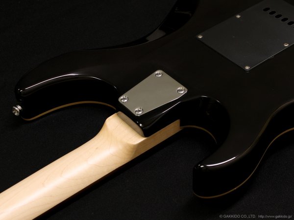 画像8: GrassRoots　G-SN-CTM Snapper [See Thru Black] (8)