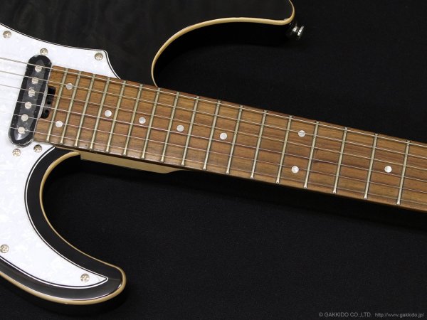 画像5: GrassRoots　G-SN-CTM Snapper [See Thru Black] (5)