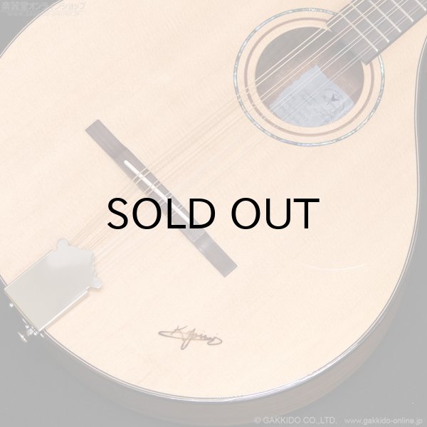 画像9: K.Yairi BOY2 アイリッシュ・ブズーキ (9)