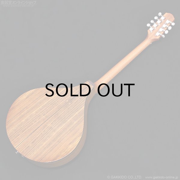 画像17: K.Yairi BOY2 アイリッシュ・ブズーキ (17)