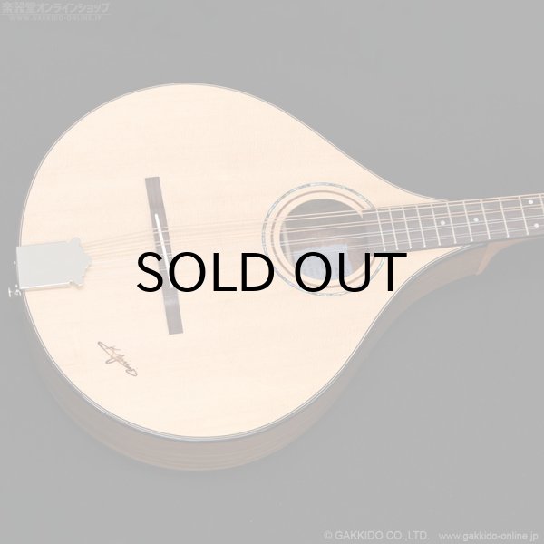 画像3: K.Yairi BOY2 アイリッシュ・ブズーキ (3)