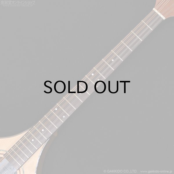 画像10: K.Yairi BOY2 アイリッシュ・ブズーキ (10)