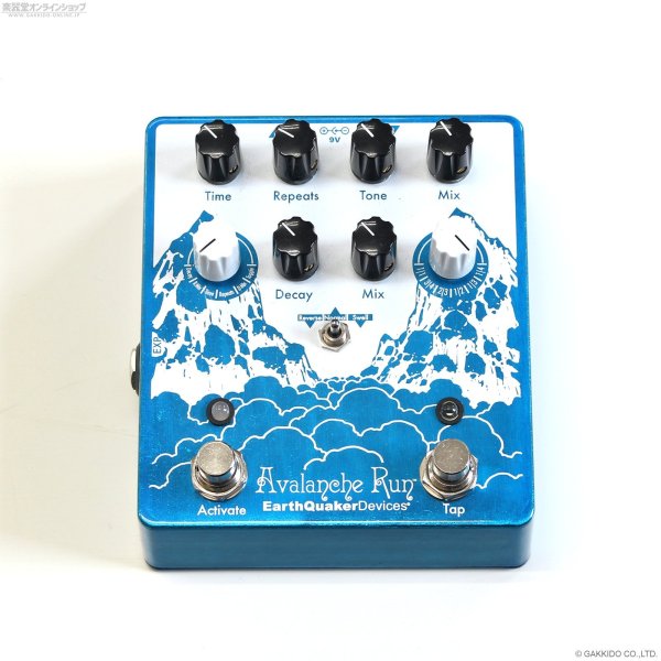 画像3: Earthquaker Devices　Avalanche Run (3)