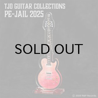 ジェイル大橋代官 アーニーボール棺 [限定特典付き(2025ver)] - 楽器堂