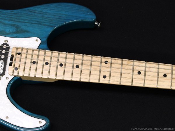画像6: SCHECTER　BH-1-STD-24 [Indigo Light Blue] (6)