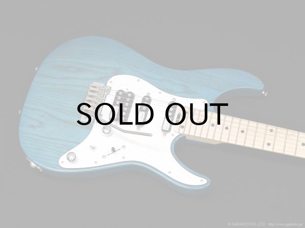 画像5: SCHECTER　BH-1-STD-24 [Indigo Light Blue] (5)