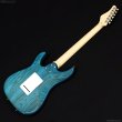 画像10: SCHECTER　BH-1-STD-24 [Indigo Light Blue] (10)