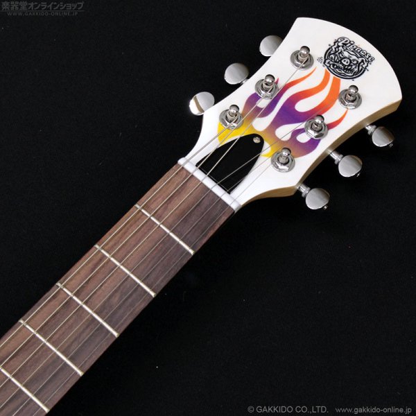 画像7: Pignose　PGG-200FP1 WH [半期決算セール特価] (7)