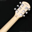 画像8: Pignose　PGG-200FP2 BK (8)