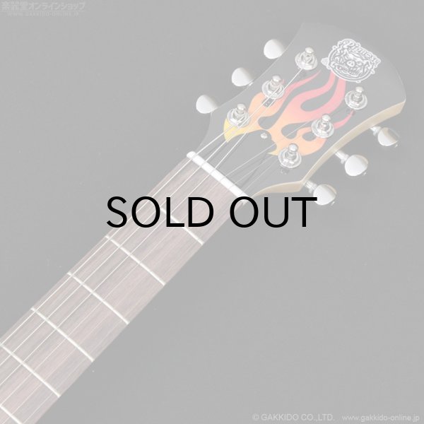 画像7: Pignose　PGG-200FP1 BK (7)