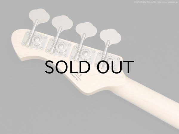 画像6: Aria Pro II　RSB-800 [Charcoal Metallic] (6)