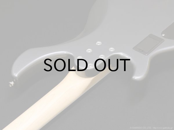 画像7: Aria Pro II　RSB-800 [Charcoal Metallic] (7)