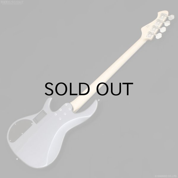 画像8: Aria Pro II　RSB-800 [Charcoal Metallic] (8)