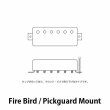 画像4: Lollar Pickups　Mini-Humbucker Set [Chrome] Firebird Mount付 (4)