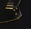 画像12: GrassRoots　G-EP 猪狩秀平 シグネチャーモデル 【チョイキズ特価品】 (12)