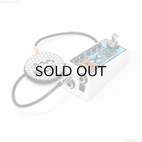 画像2: Rainger FX　Reverb X (2)