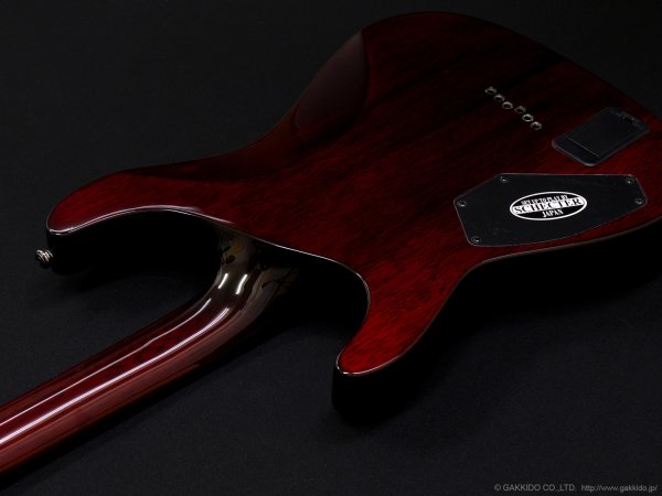 画像8: Schecter　Diamond Series Hellraiser C-1 [Black Cherry] (8)