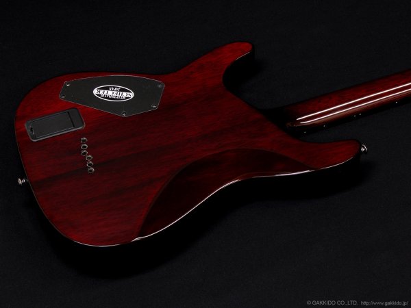 画像9: Schecter　Diamond Series Hellraiser C-1 [Black Cherry] (9)