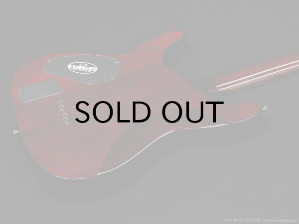 画像9: Schecter　Diamond Series Hellraiser C-1 [Black Cherry] (9)