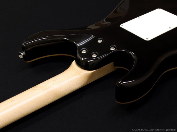 画像9: SCHECTER　SD-2-24-AL GRN/M [See-thru Green] (9)