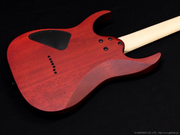 画像9: Ibanez　RG7421PB 7-string [Sapphire Blue Flat] (9)