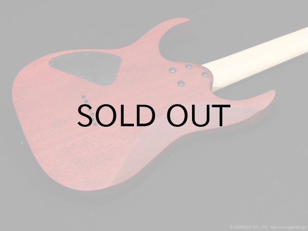 画像9: Ibanez　RG7421PB 7-string [Sapphire Blue Flat] (9)