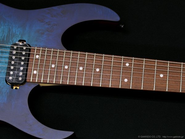 画像5: Ibanez　RG7421PB 7-string [Sapphire Blue Flat] (5)