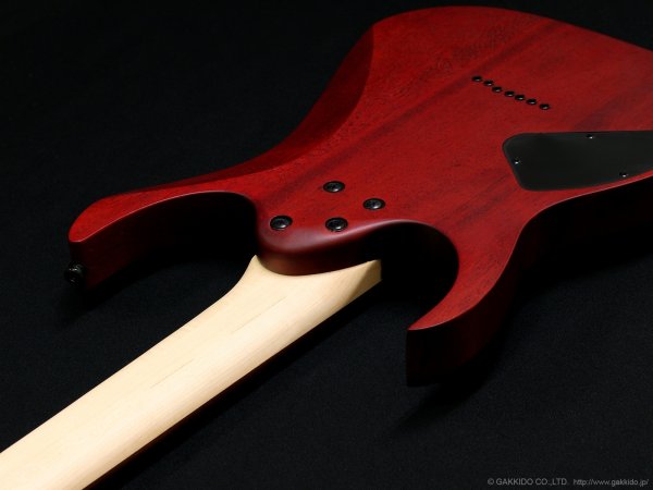 画像8: Ibanez　RG7421PB 7-string [Sapphire Blue Flat] (8)