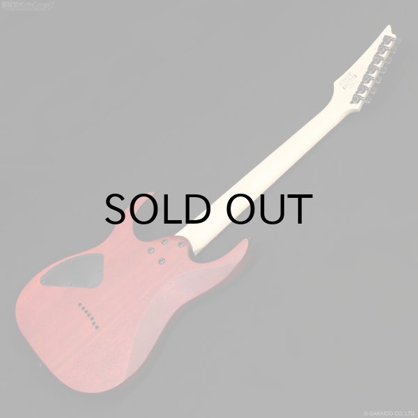 画像10: Ibanez　RG7421PB 7-string [Sapphire Blue Flat] (10)