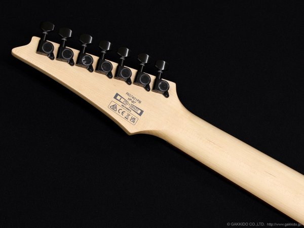 画像7: Ibanez　RG7421PB 7-string [Sapphire Blue Flat] (7)