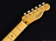 画像5: Squier　Classic Vibe '50s Telecaster [White Blonde] (5)