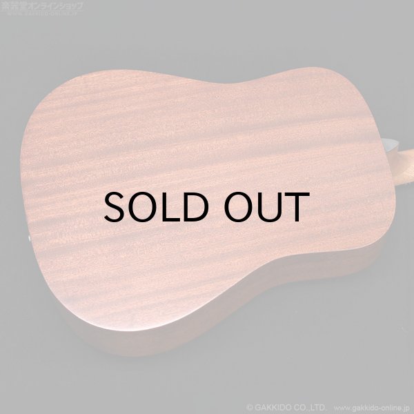 画像11: Martin D-10E-01 (11)