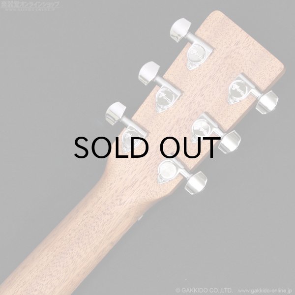 画像8: Martin D-10E-01 (8)