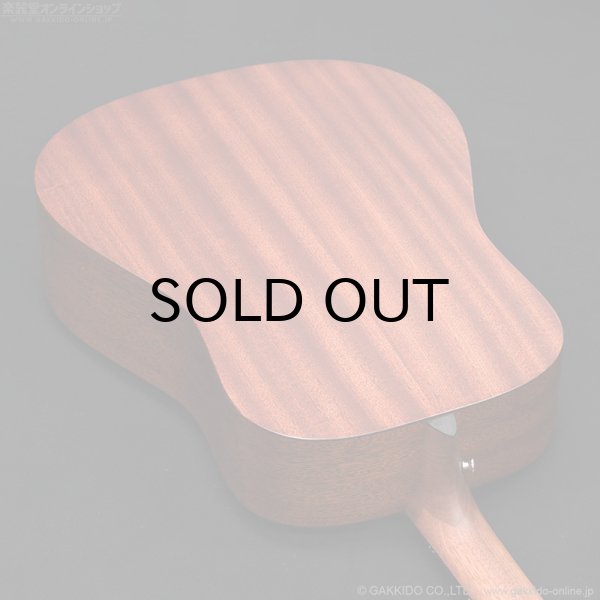 画像12: Martin D-10E-01 (12)