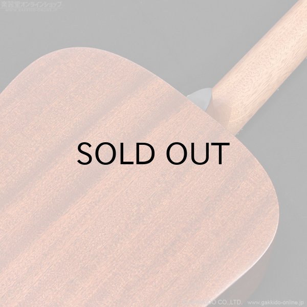 画像9: Martin D-10E-01 (9)