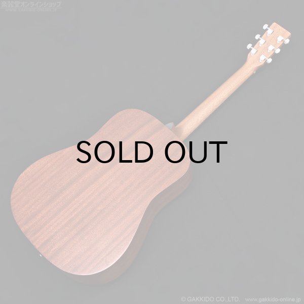 画像13: Martin D-10E-01 (13)