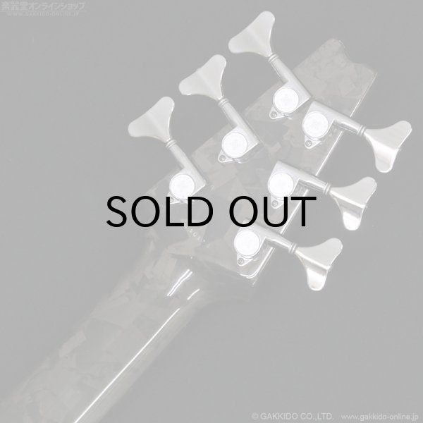 画像12: Modulus　1991 Quantum 6 Q6 [中古品] (12)