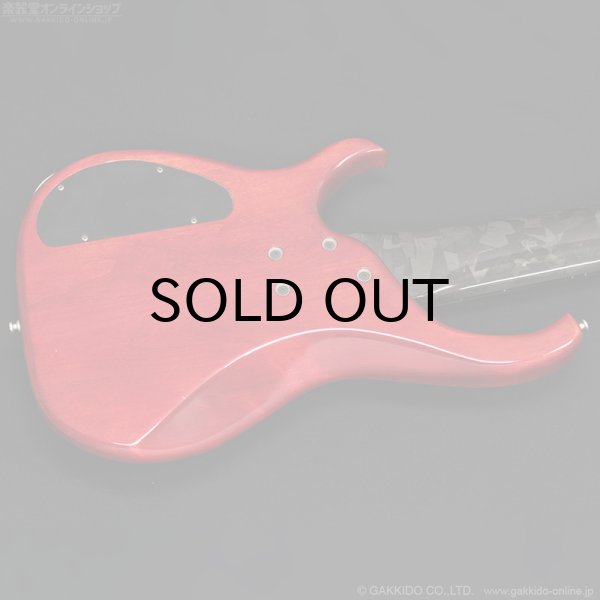 画像16: Modulus　1991 Quantum 6 Q6 [中古品] (16)