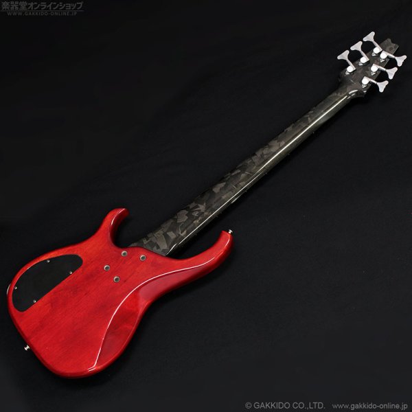 画像18: Modulus　1991 Quantum 6 Q6 [中古品] (18)