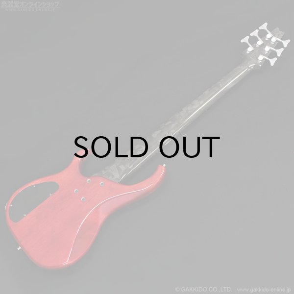 画像18: Modulus　1991 Quantum 6 Q6 [中古品] (18)