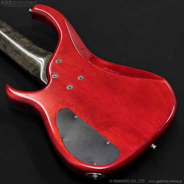 画像15: Modulus　1991 Quantum 6 Q6 [中古品] (15)