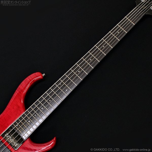 画像9: Modulus　1991 Quantum 6 Q6 [中古品] (9)