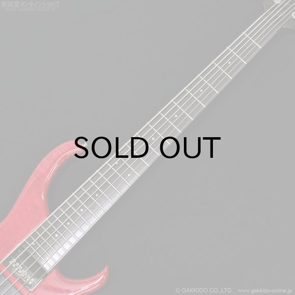 画像9: Modulus　1991 Quantum 6 Q6 [中古品] (9)