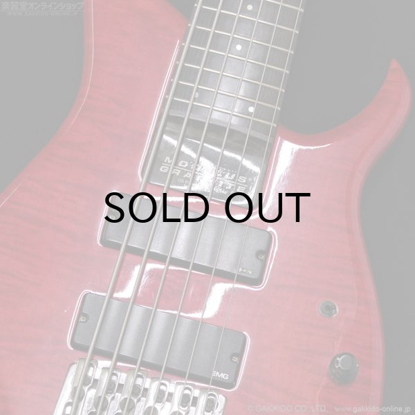 画像8: Modulus　1991 Quantum 6 Q6 [中古品] (8)