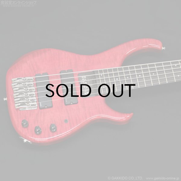 画像2: Modulus　1991 Quantum 6 Q6 [中古品] (2)