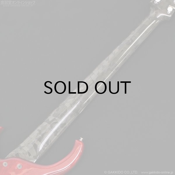 画像10: Modulus　1991 Quantum 6 Q6 [中古品] (10)