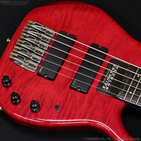 画像7: Modulus　1991 Quantum 6 Q6 [中古品] (7)