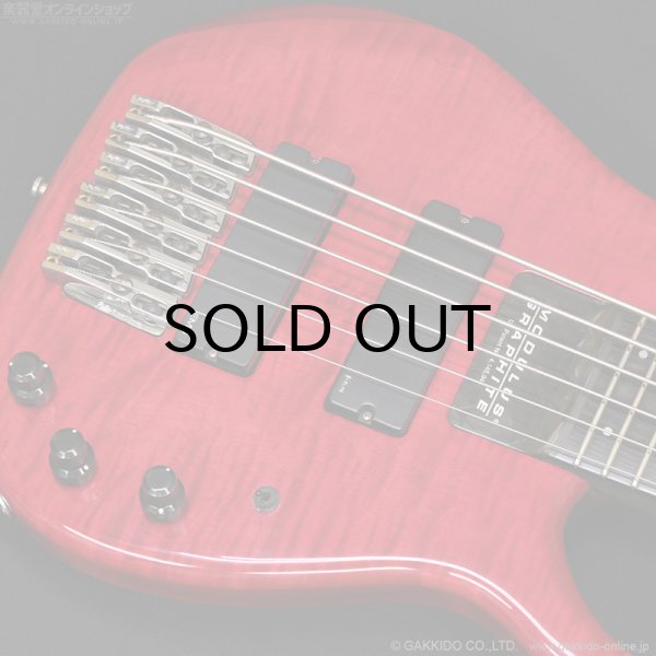 画像7: Modulus　1991 Quantum 6 Q6 [中古品] (7)